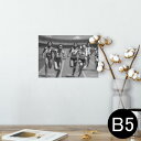 |X^[ EH[XebJ[ V[XebJ[  182~257mm B5 ʐ^ tHg  CeA   wall sticker poster 023985 }\@ʐ^