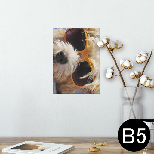 ポスター ウォールステッカー シール式ステッカー 飾り 182×257mm B5 写真 フォト 壁 インテリア おしゃれ 剥がせる wall sticker poster 006384 写真 動物 犬 ポスター ウォールステッカー シール式ステッカー 飾り 182×257mm B5 写真 フォト 壁 インテリア おしゃれ 剥がせる wall sticker poster 006384 写真 動物 犬