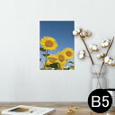ポスター ウォールステッカー シール式ステッカー 飾り 182×257mm B5 写真 フォト 壁 インテリア おしゃれ 剥がせる wall sticker poster 009265 フラワー ひまわり 写真