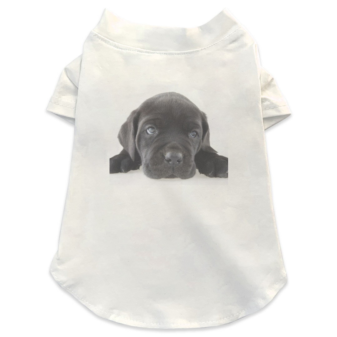 犬専用Tシャツ 選べる5size 小型犬 袖あり 半袖 ホワイト デザイン T shirt XS S M L XL ペットウェア ペット服 カジュアル おしゃれ コットン 綿商品特徴・袖ありペット用Tシャツ！・さらりとした触り心地のTシャツ ・洗濯も赤ちゃんにも安心なウェアプリントUltraChrome DGインクは洗濯に対しても色落ちが少なく、高い堅牢度が実証されています。 素材 綿 98% ポリエステル 2％ 注意事項※実際にわんちゃんを測った上でご購入ください。※測る際はきつく締めすぎず余裕をもって測ってください。※2cm〜3cm誤差がある場合があります。画像はサンプルですので、Tシャツの大きさが若干異なる場合があります。ご覧の環境によっては多少色味に違いを感じる場合がございます。 イメージと違った、モニターと色味が異なるという理由での交換や返金はご対応出来かねます。 写真のカラーは可能な限り実際の商品に色味を近づけていますが、WEBの性質上ご使用のパソコンの設定や環境でカラーが若干異なります。 ご注文後に1点1点制作する受注生産品のため、不良品以外のご返品や交換は固くお断り致します。 選択間違いも保証対象外となりますため、ご注文の際は必ずサイズやカラーをご確認下さい。洗濯の際は、商品の色あせを避けるため手洗いをおすすめします。 つけ置き洗いは避けてください。 タンブラー乾燥はお控えください。発送について完全受注生産のハンドメイド商品となりますので、既製品と比べて発送までお時間を頂いています。 基本的に決済確認後、最大で10営業日での発送となります。繁忙期や休業日明けの場合はさらに時間がかかる場合があります。 その際には別途メールにてご連絡致します。メール便の場合、発送日から到着までに2〜4日ほどかかる場合が多く、紛失などの保障もご対応できかねます。あらかじめご了承下さい。