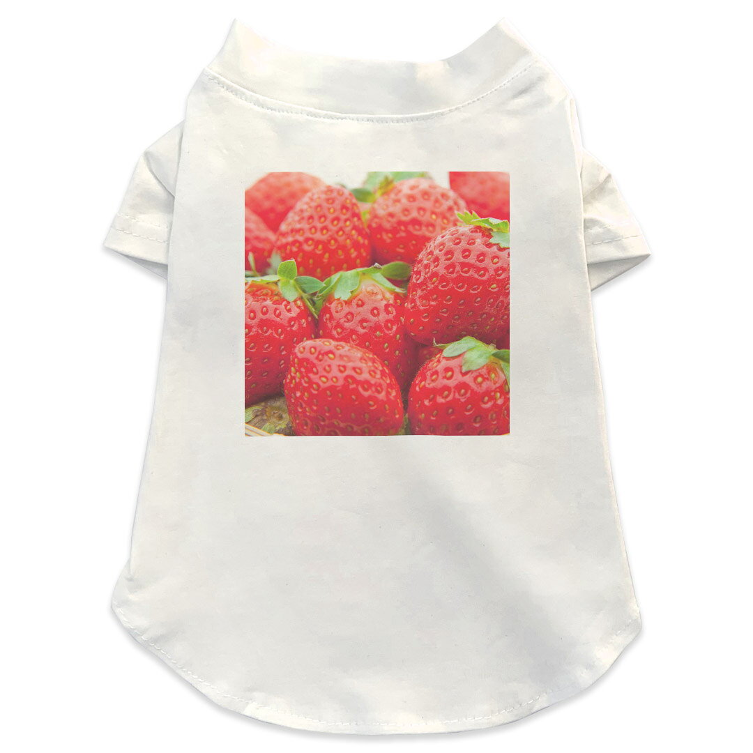 犬専用Tシャツ 選べる5size 小型犬 袖あり 半袖 ホワイト デザイン T shirt XS S M L XL ペットウェア ペット服 カジュアル おしゃれ コットン 綿商品特徴・袖ありペット用Tシャツ！・さらりとした触り心地のTシャツ ・洗濯も赤ちゃんにも安心なウェアプリントUltraChrome DGインクは洗濯に対しても色落ちが少なく、高い堅牢度が実証されています。 素材 綿 98% ポリエステル 2％ 注意事項※実際にわんちゃんを測った上でご購入ください。※測る際はきつく締めすぎず余裕をもって測ってください。※2cm〜3cm誤差がある場合があります。画像はサンプルですので、Tシャツの大きさが若干異なる場合があります。ご覧の環境によっては多少色味に違いを感じる場合がございます。 イメージと違った、モニターと色味が異なるという理由での交換や返金はご対応出来かねます。 写真のカラーは可能な限り実際の商品に色味を近づけていますが、WEBの性質上ご使用のパソコンの設定や環境でカラーが若干異なります。 ご注文後に1点1点制作する受注生産品のため、不良品以外のご返品や交換は固くお断り致します。 選択間違いも保証対象外となりますため、ご注文の際は必ずサイズやカラーをご確認下さい。洗濯の際は、商品の色あせを避けるため手洗いをおすすめします。 つけ置き洗いは避けてください。 タンブラー乾燥はお控えください。発送について完全受注生産のハンドメイド商品となりますので、既製品と比べて発送までお時間を頂いています。 基本的に決済確認後、最大で10営業日での発送となります。繁忙期や休業日明けの場合はさらに時間がかかる場合があります。 その際には別途メールにてご連絡致します。メール便の場合、発送日から到着までに2〜4日ほどかかる場合が多く、紛失などの保障もご対応できかねます。あらかじめご了承下さい。