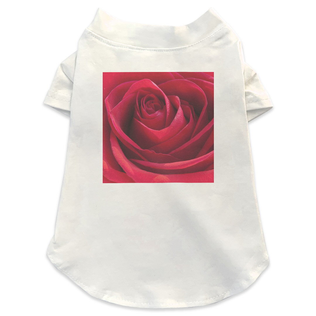 犬専用Tシャツ 選べる5size 小型犬 袖あり 半袖 ホワイト デザイン T shirt XS S M L XL ペットウェア ..