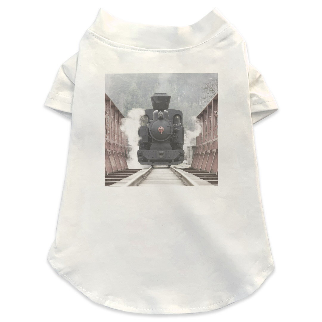 犬専用Tシャツ 選べる5size 小型犬 袖あり 半袖 ホワイト デザイン T shirt XS S M L XL ペットウェア ..