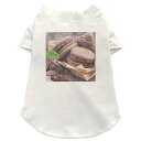 犬専用Tシャツ 選べる5size 小型犬 袖あり 半袖 ホワイト デザイン T shirt XS S M L XL ペットウェア ペット服 カジュアル おしゃれ コットン 綿 写真・風景 マカロン チョコレート 001014