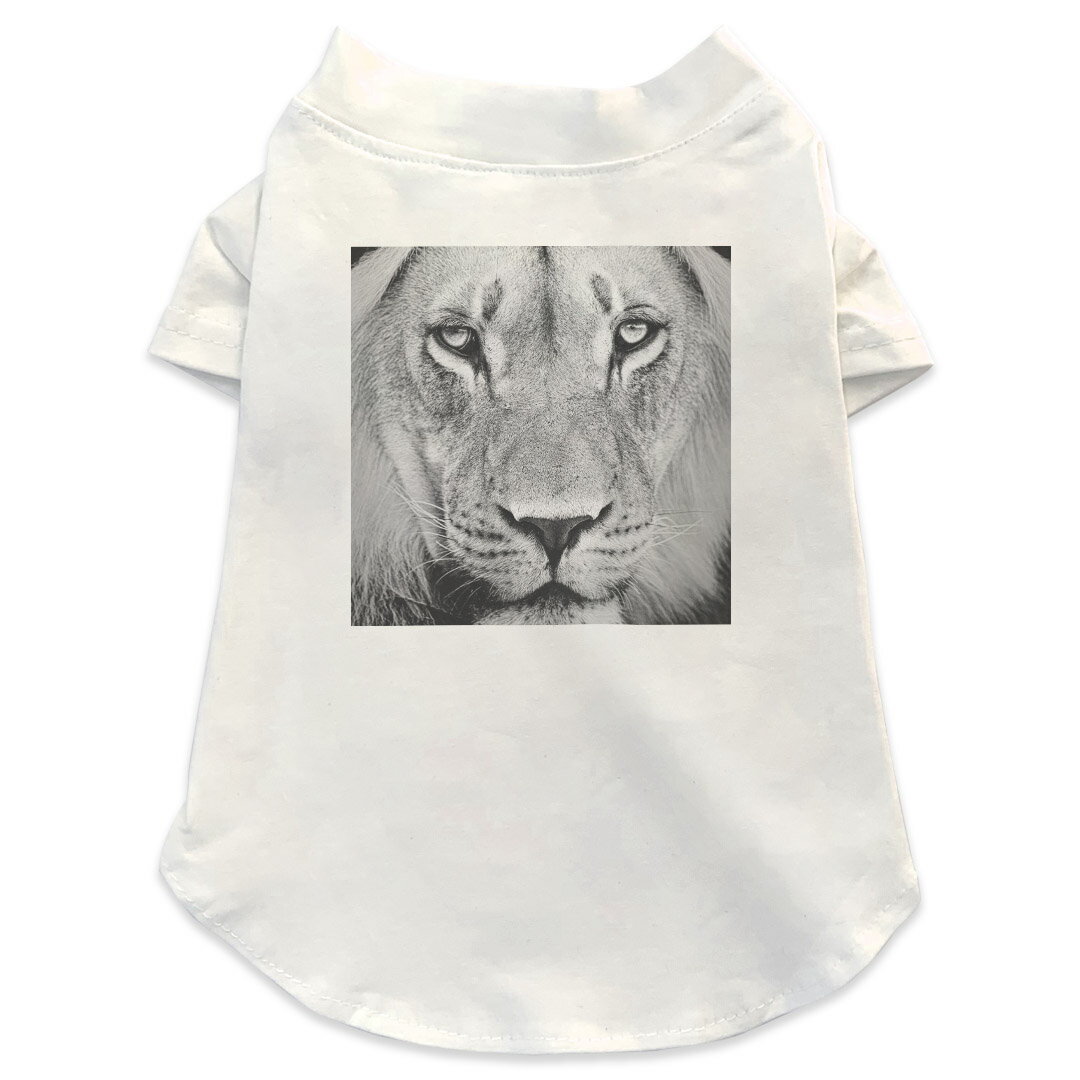 犬専用Tシャツ 選べる5size 小型犬 袖あり 半袖 ホワイト デザイン T shirt XS S M L XL ペットウェア ..