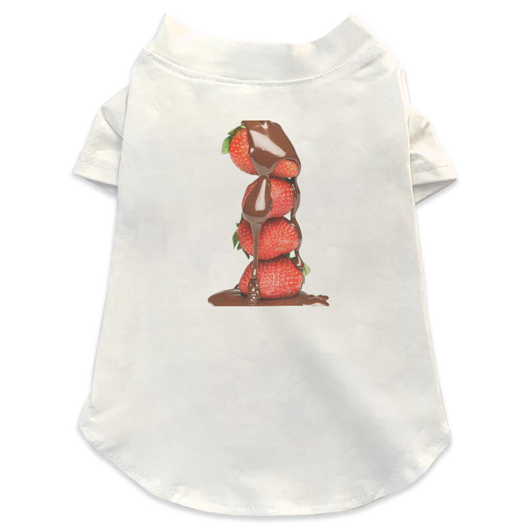 T ٤5size  µ Ⱦµ ۥ磻 ǥ T shirt XS S M L XL ڥåȥ ڥå ...