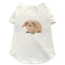 犬専用Tシャツ 選べる5size 小型犬 袖あり 半袖 ホワイト デザイン T shirt XS S M L XL ペットウェア ペット服 カジュアル おしゃれ コットン 綿 アニマル うさぎ 動物 001112