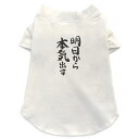 犬専用Tシャツ 選べる5size 小型犬 袖あり 半袖 ホワイト デザイン T shirt XS S M L XL ペットウェア ペット服 カジュアル おしゃれ コットン 綿 日本語・和柄 漢字　文字 002332