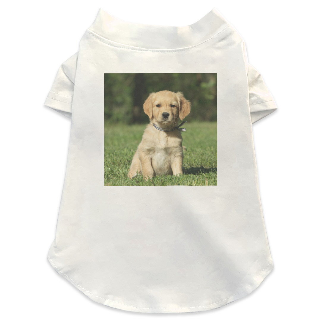 犬専用Tシャツ 選べる5size 小型犬 袖あり 半袖 ホワイト デザイン T shirt XS S M L XL ペットウェア ..