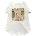 犬専用Tシャツ 選べる5size 小型犬 袖あり 半袖 ホワイト デザイン T shirt XS S M L XL ペットウェア ペット服 カジュアル おしゃれ コットン 綿 アニマル うさぎ 動物 写真 002807