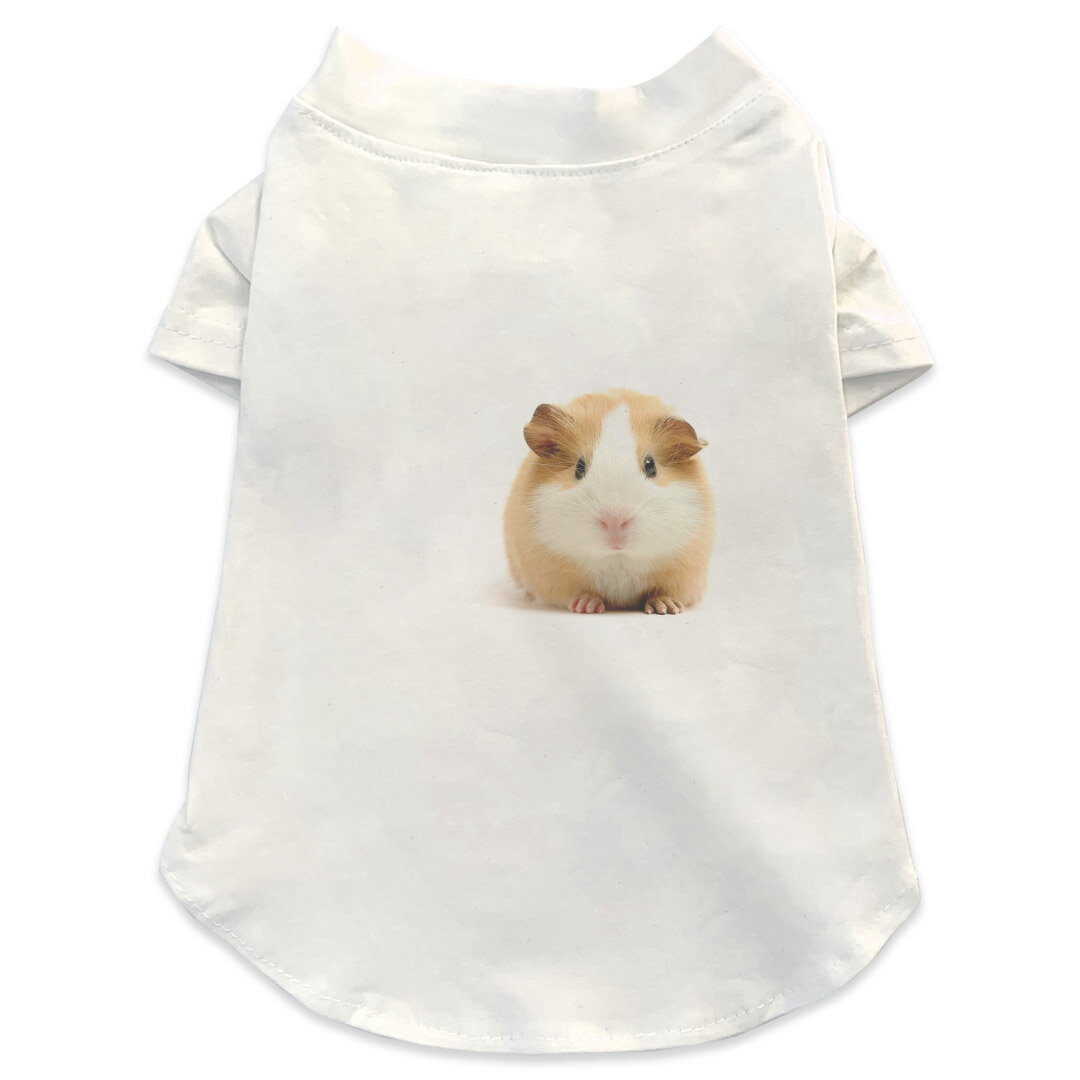 犬専用Tシャツ 選べる5size 小型犬 袖あり 半袖 ホワイト デザイン T shirt XS S M L XL ペットウェア ..