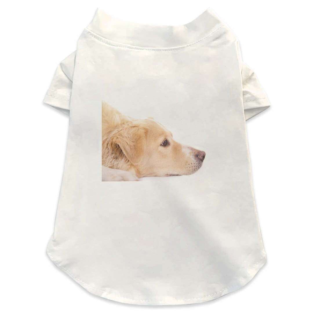 犬専用Tシャツ 選べる5size 小型犬 袖あり 半袖 ホワイト デザイン T shirt XS S M L XL ペットウェア ペット服 カジュアル おしゃれ コットン 綿商品特徴・袖ありペット用Tシャツ！・さらりとした触り心地のTシャツ ・洗濯も赤ちゃんにも安心なウェアプリントUltraChrome DGインクは洗濯に対しても色落ちが少なく、高い堅牢度が実証されています。 素材 綿 98% ポリエステル 2％ 注意事項※実際にわんちゃんを測った上でご購入ください。※測る際はきつく締めすぎず余裕をもって測ってください。※2cm〜3cm誤差がある場合があります。画像はサンプルですので、Tシャツの大きさが若干異なる場合があります。ご覧の環境によっては多少色味に違いを感じる場合がございます。 イメージと違った、モニターと色味が異なるという理由での交換や返金はご対応出来かねます。 写真のカラーは可能な限り実際の商品に色味を近づけていますが、WEBの性質上ご使用のパソコンの設定や環境でカラーが若干異なります。 ご注文後に1点1点制作する受注生産品のため、不良品以外のご返品や交換は固くお断り致します。 選択間違いも保証対象外となりますため、ご注文の際は必ずサイズやカラーをご確認下さい。洗濯の際は、商品の色あせを避けるため手洗いをおすすめします。 つけ置き洗いは避けてください。 タンブラー乾燥はお控えください。発送について完全受注生産のハンドメイド商品となりますので、既製品と比べて発送までお時間を頂いています。 基本的に決済確認後、最大で10営業日での発送となります。繁忙期や休業日明けの場合はさらに時間がかかる場合があります。 その際には別途メールにてご連絡致します。メール便の場合、発送日から到着までに2〜4日ほどかかる場合が多く、紛失などの保障もご対応できかねます。あらかじめご了承下さい。