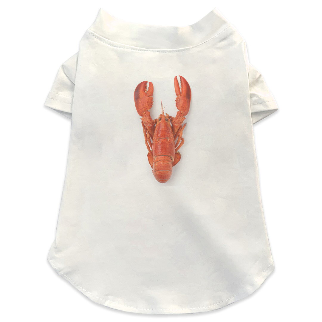 犬専用Tシャツ 選べる5size 小型犬 袖あり 半袖 ホワイト デザイン T shirt XS S M L XL ペットウェア ペット服 カジュアル おしゃれ コットン 綿商品特徴・袖ありペット用Tシャツ！・さらりとした触り心地のTシャツ ・洗濯も赤ちゃんにも安心なウェアプリントUltraChrome DGインクは洗濯に対しても色落ちが少なく、高い堅牢度が実証されています。 素材 綿 98% ポリエステル 2％ 注意事項※実際にわんちゃんを測った上でご購入ください。※測る際はきつく締めすぎず余裕をもって測ってください。※2cm〜3cm誤差がある場合があります。画像はサンプルですので、Tシャツの大きさが若干異なる場合があります。ご覧の環境によっては多少色味に違いを感じる場合がございます。 イメージと違った、モニターと色味が異なるという理由での交換や返金はご対応出来かねます。 写真のカラーは可能な限り実際の商品に色味を近づけていますが、WEBの性質上ご使用のパソコンの設定や環境でカラーが若干異なります。 ご注文後に1点1点制作する受注生産品のため、不良品以外のご返品や交換は固くお断り致します。 選択間違いも保証対象外となりますため、ご注文の際は必ずサイズやカラーをご確認下さい。洗濯の際は、商品の色あせを避けるため手洗いをおすすめします。 つけ置き洗いは避けてください。 タンブラー乾燥はお控えください。発送について完全受注生産のハンドメイド商品となりますので、既製品と比べて発送までお時間を頂いています。 基本的に決済確認後、最大で10営業日での発送となります。繁忙期や休業日明けの場合はさらに時間がかかる場合があります。 その際には別途メールにてご連絡致します。メール便の場合、発送日から到着までに2〜4日ほどかかる場合が多く、紛失などの保障もご対応できかねます。あらかじめご了承下さい。