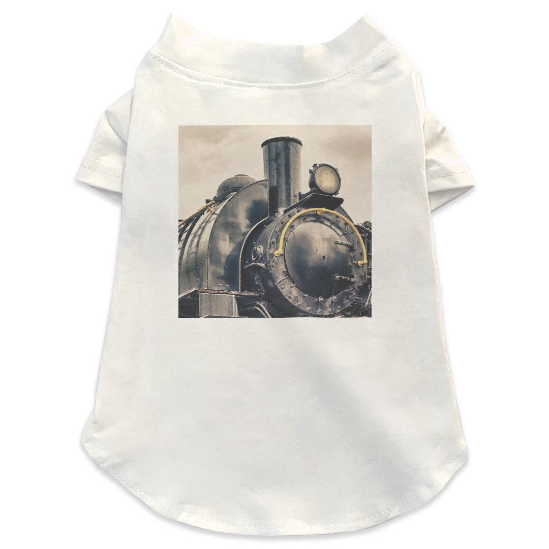 犬専用Tシャツ 選べる5size 小型犬 袖あり 半袖 ホワイト デザイン T shirt XS S M L XL ペットウェア ..