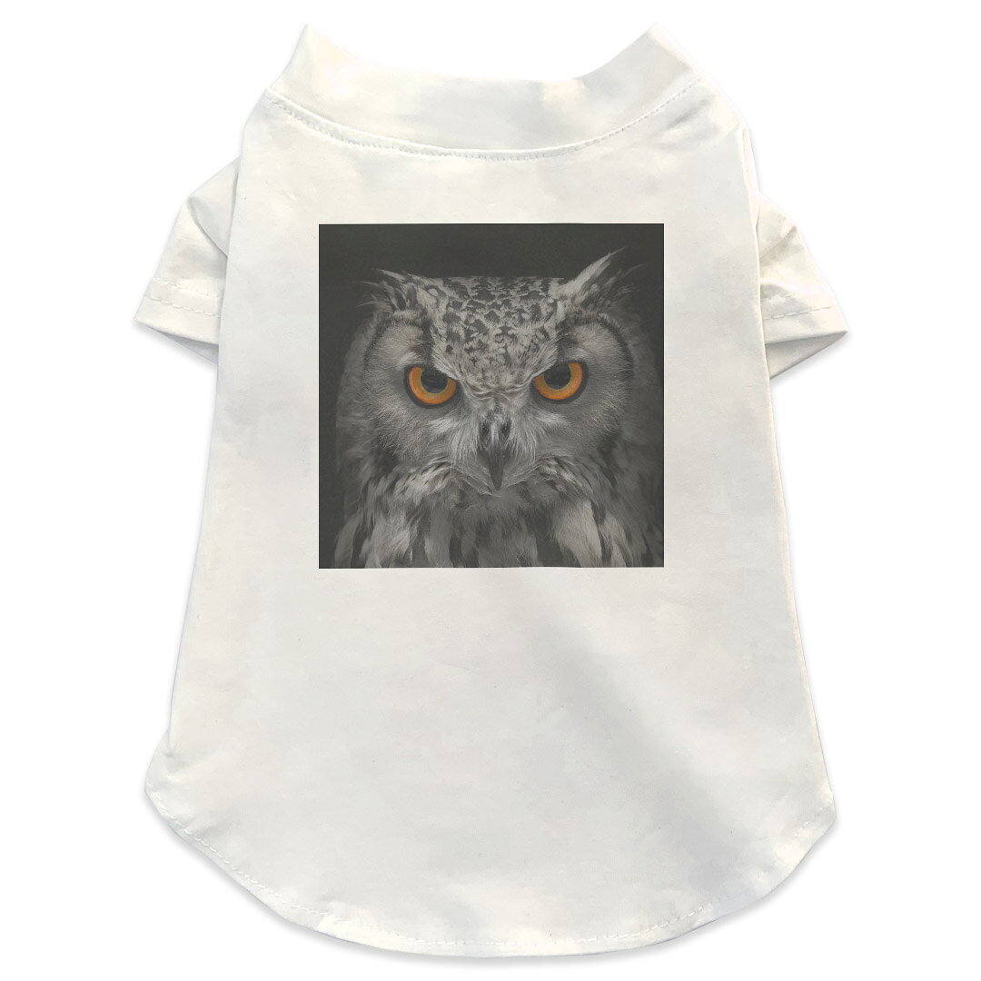 犬専用Tシャツ 選べる5size 小型犬 袖あり 半袖 ホワイト デザイン T shirt XS S M L XL ペットウェア ペット服 カジュアル おしゃれ コットン 綿商品特徴・袖ありペット用Tシャツ！・さらりとした触り心地のTシャツ ・洗濯も赤ちゃんにも安心なウェアプリントUltraChrome DGインクは洗濯に対しても色落ちが少なく、高い堅牢度が実証されています。 素材 綿 98% ポリエステル 2％ 注意事項※実際にわんちゃんを測った上でご購入ください。※測る際はきつく締めすぎず余裕をもって測ってください。※2cm〜3cm誤差がある場合があります。画像はサンプルですので、Tシャツの大きさが若干異なる場合があります。ご覧の環境によっては多少色味に違いを感じる場合がございます。 イメージと違った、モニターと色味が異なるという理由での交換や返金はご対応出来かねます。 写真のカラーは可能な限り実際の商品に色味を近づけていますが、WEBの性質上ご使用のパソコンの設定や環境でカラーが若干異なります。 ご注文後に1点1点制作する受注生産品のため、不良品以外のご返品や交換は固くお断り致します。 選択間違いも保証対象外となりますため、ご注文の際は必ずサイズやカラーをご確認下さい。洗濯の際は、商品の色あせを避けるため手洗いをおすすめします。 つけ置き洗いは避けてください。 タンブラー乾燥はお控えください。発送について完全受注生産のハンドメイド商品となりますので、既製品と比べて発送までお時間を頂いています。 基本的に決済確認後、最大で10営業日での発送となります。繁忙期や休業日明けの場合はさらに時間がかかる場合があります。 その際には別途メールにてご連絡致します。メール便の場合、発送日から到着までに2〜4日ほどかかる場合が多く、紛失などの保障もご対応できかねます。あらかじめご了承下さい。