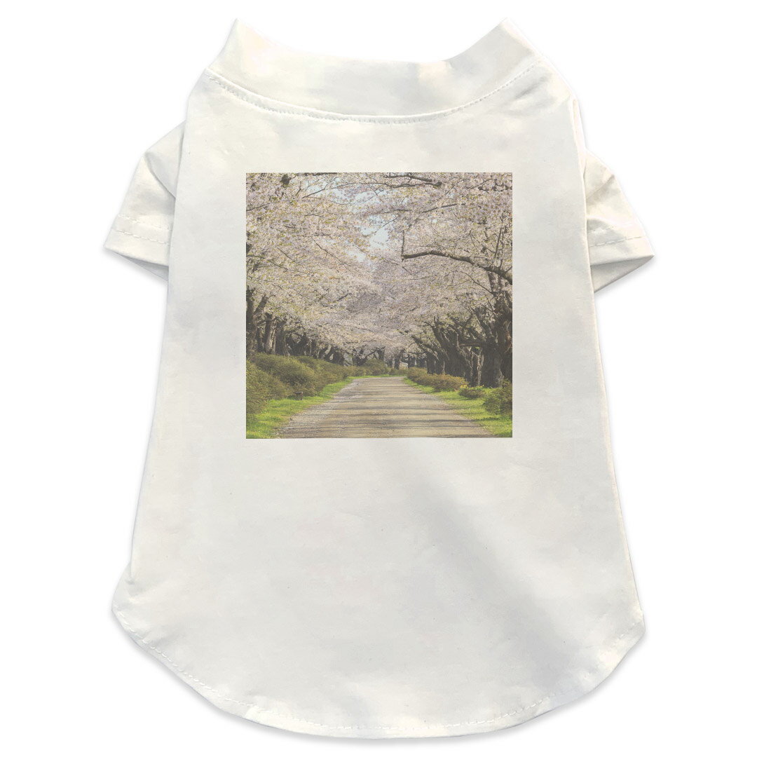 Garments - 犬専用Tシャツ 選べる5size 小型犬 袖あり 半袖 ホワイト デザイン T shirt XS S M L XL ペットウェア ペット服 カジュアル おしゃれ コットン 綿 フラワー　桜　写真 009759