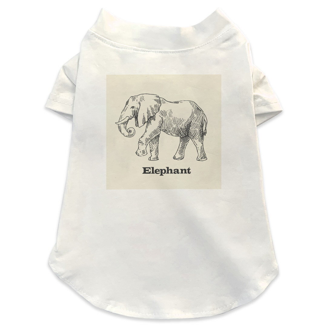 T ٤5size  µ Ⱦµ ۥ磻 ǥ T shirt XS S M L XL ڥåȥ ڥå ...