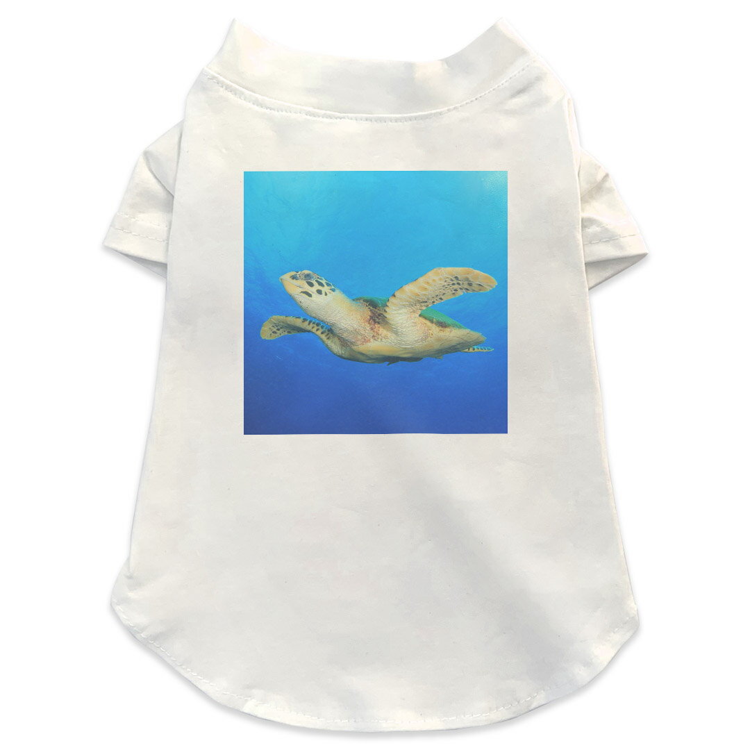 犬専用Tシャツ 選べる5size 小型犬 袖あり 半袖 ホワイト デザイン T shirt XS S M L XL ペットウェア ペット服 カジュアル おしゃれ コットン 綿 海　カメ　生き物 014050