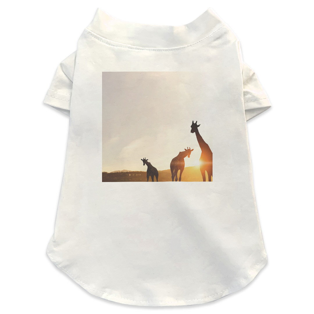 犬専用Tシャツ 選べる5size 小型犬 袖あり 半袖 ホワイト デザイン T shirt XS S M L XL ペットウェア ..