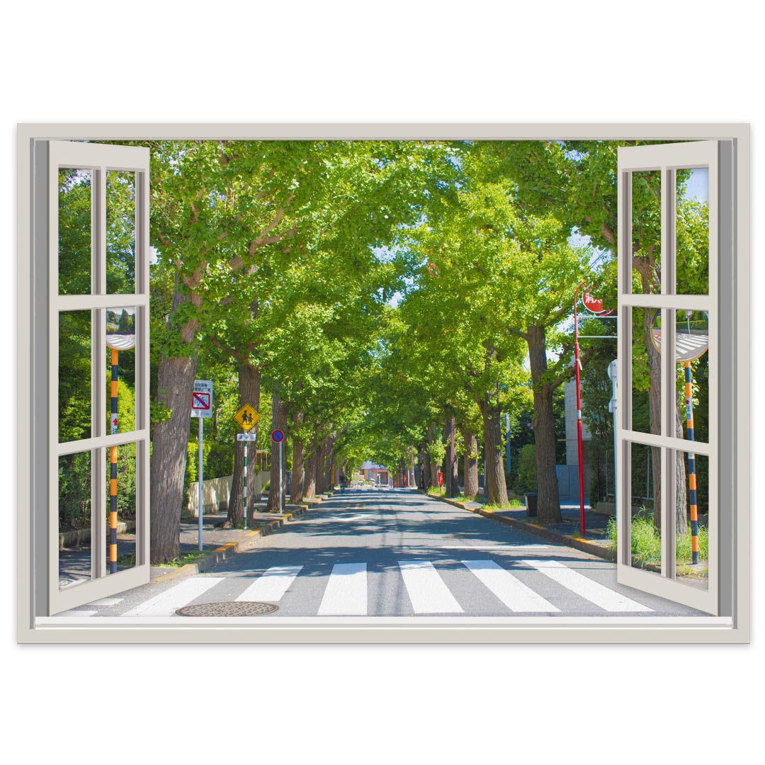 選べるサイズ!窓仕様ポステッカー ウォールステッカー シール式ステッカー 飾り A0 A1 A2 A3 A4 A5 B0 B1 B2 B3 B4 B5 写真 フォト 壁 インテリア おしゃれ 剥がせる wall sticker poster 023998 本 空 横断歩道 並木道 木 緑 026014