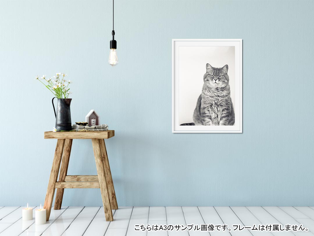 ポスター ウォールステッカー シール式ステッカー 飾り 203×254 六つ切り 写真 フ...