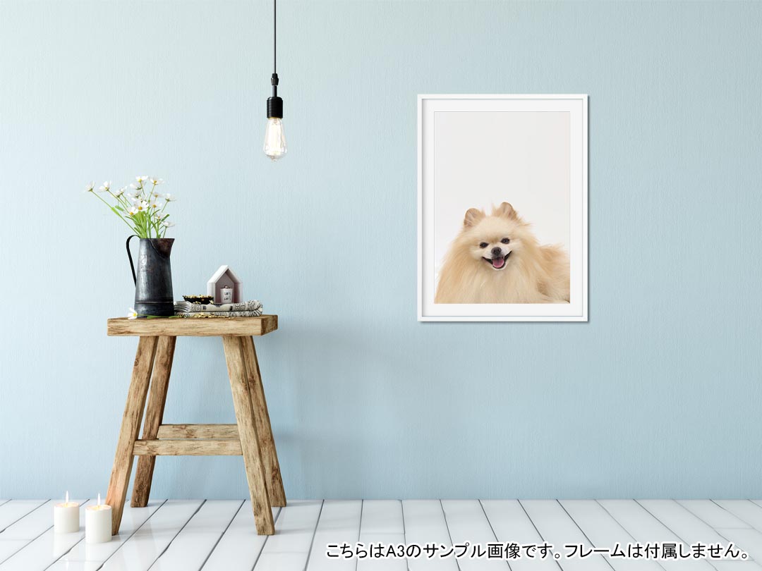 ポスター ウォールステッカー 長方形 シール式ステッカー 飾り 90×47cm Lsize 長方形 壁 インテリア おしゃれ　剥がせる wall sticker poster 002912 犬　動物　写真 kabekore-10418440 kabeコレ サンプル画像2