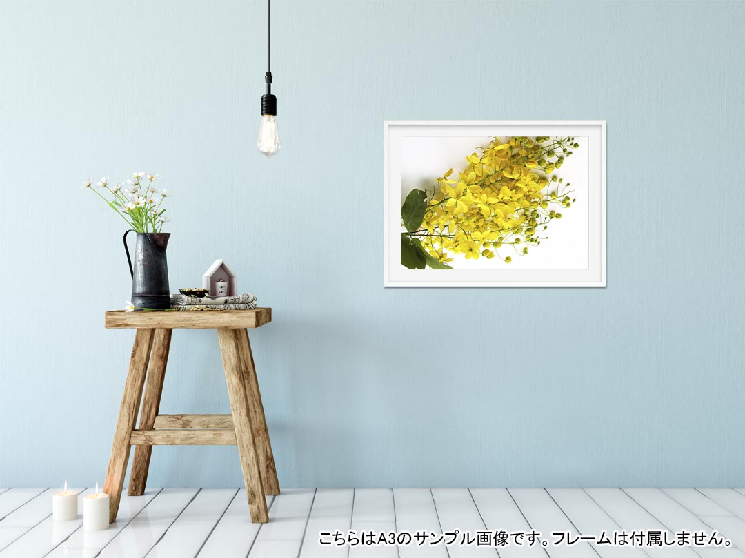 サンプル画像2