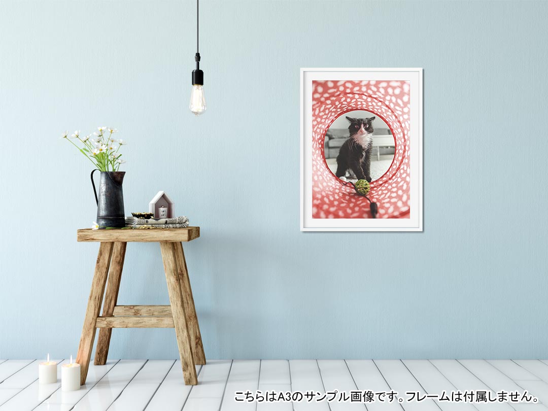 ポスター ウォールステッカー シール式ステッカー 飾り 210×297mm A4 写真 フォト ...