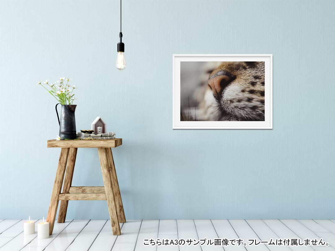 ポスター ウォールステッカー シール式ステッカー 飾り 515×728mm B2 写真 フォト 壁 インテリア おしゃれ 剥がせる wall sticker poster 023091 猫　ねこ　動物　写真 kabekore-10902194 kabeコレ サンプル画像2