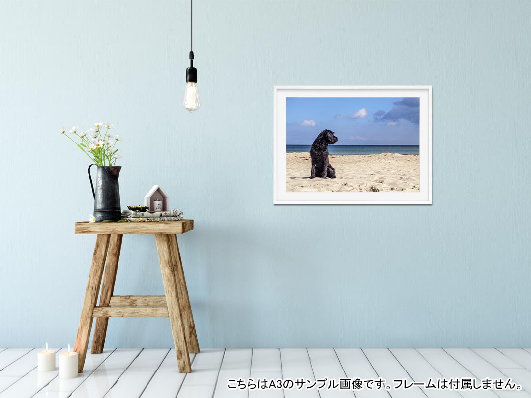 ポスター ウォールステッカー シール式ステッカー 飾り 364×515mm B3 写真 フォト 壁 インテリア おしゃれ 剥がせる wall sticker poster 023219 犬　海　夏　写真 2