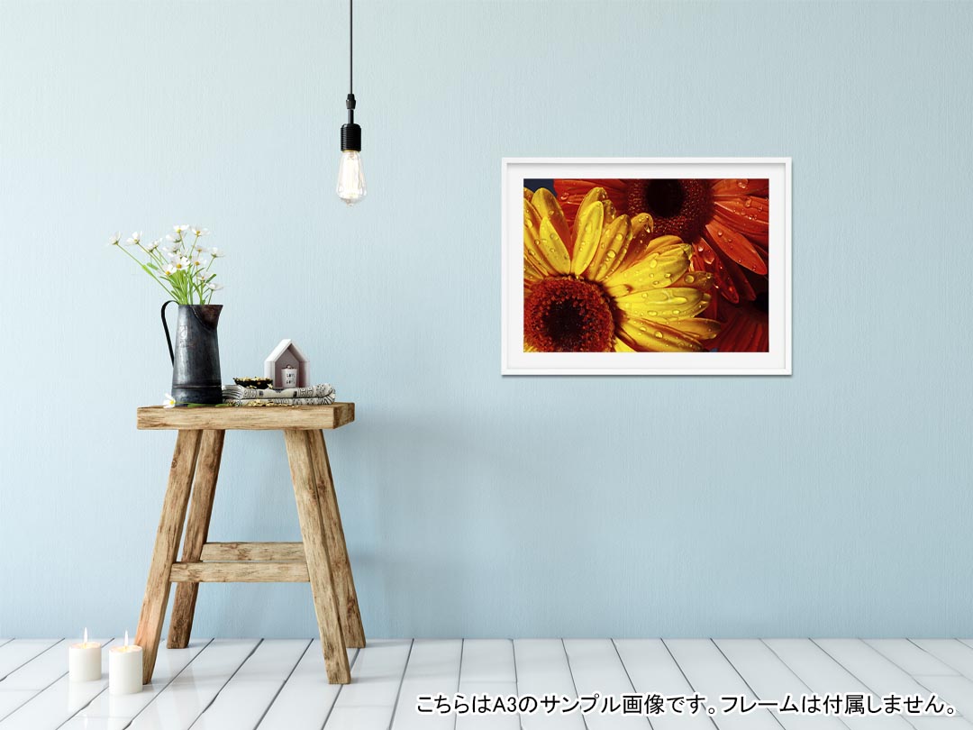 kabeコレのポスター ウォールステッカー シール式ステッカー 飾り 594×841mm A1 写真 フォト 壁 インテリア おしゃれ 剥がせるwall sticker poster 023300 花　フラワー　ひまわり｜アングル2