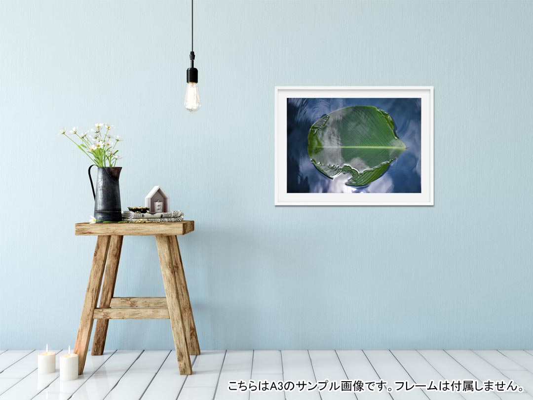 ポスター ウォールステッカー シール式ステッカー 飾り 420×594mm A2 写真 フォト 壁 インテリア おしゃれ 剥がせる wall sticker poster 023503 葉っぱ　植物 2