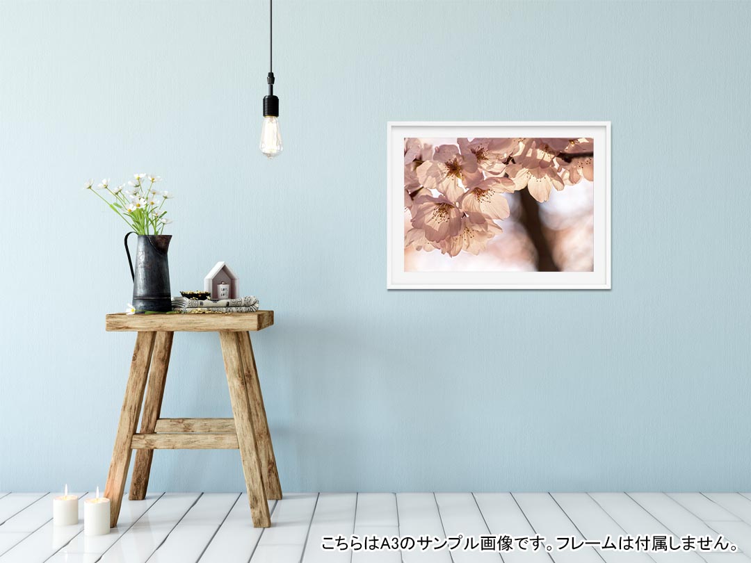 サンプル画像2