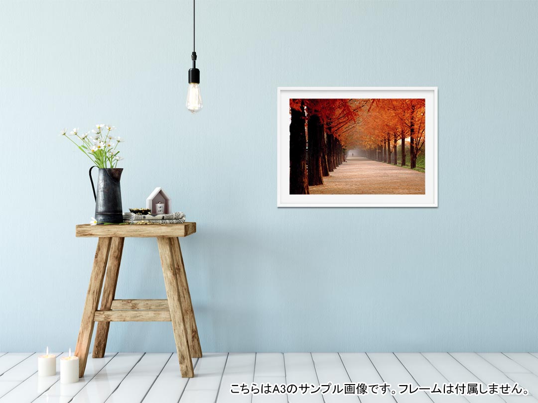 ポスター ウォールステッカー シール式ステッカー 飾り 515×728mm B2 写真 フォト 壁 インテリア おしゃれ 剥がせる wall sticker poster 025603 景色　紅葉　並木道 2