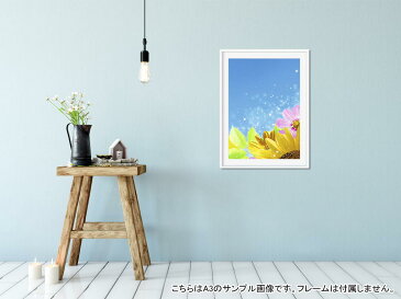 ポスター ウォールステッカー シール式ステッカー 飾り 515×728mm B2 写真 フォト 壁 インテリア おしゃれ 　剥がせる wall sticker poster 004954 花　コスモス　ひまわり