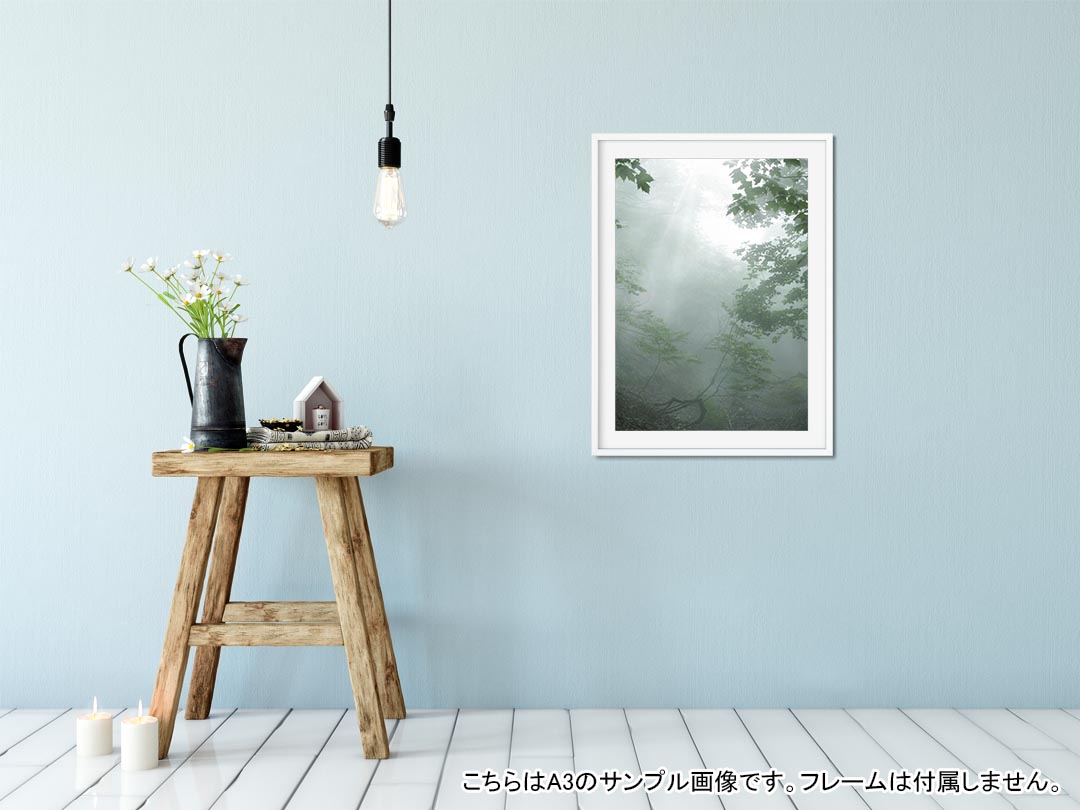 ポスター ウォールステッカー シール式ステッカー 飾り 210×297mm A4 写真 フォト 壁 インテリア おしゃれ 剥がせる wall sticker poster 005872 写真　森　緑 2