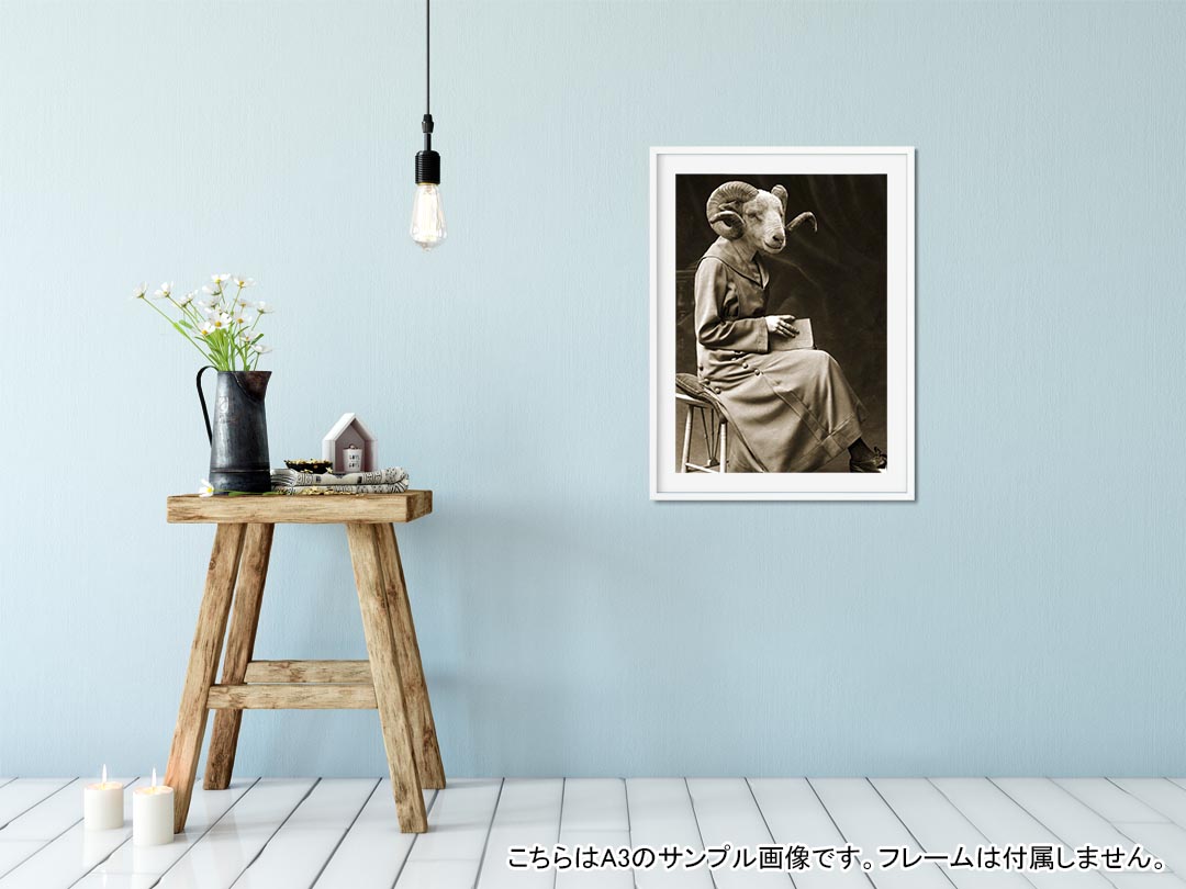 kabeコレのポステッカー ポスター ウォールステッカー シール式ステッカー 飾り 1030mm×1456mm B0 写真 フォト 壁 インテリア おしゃれ 剥がせる wall sticker poster 005945 アニマル 写真　ヤギ　人物｜アングル2