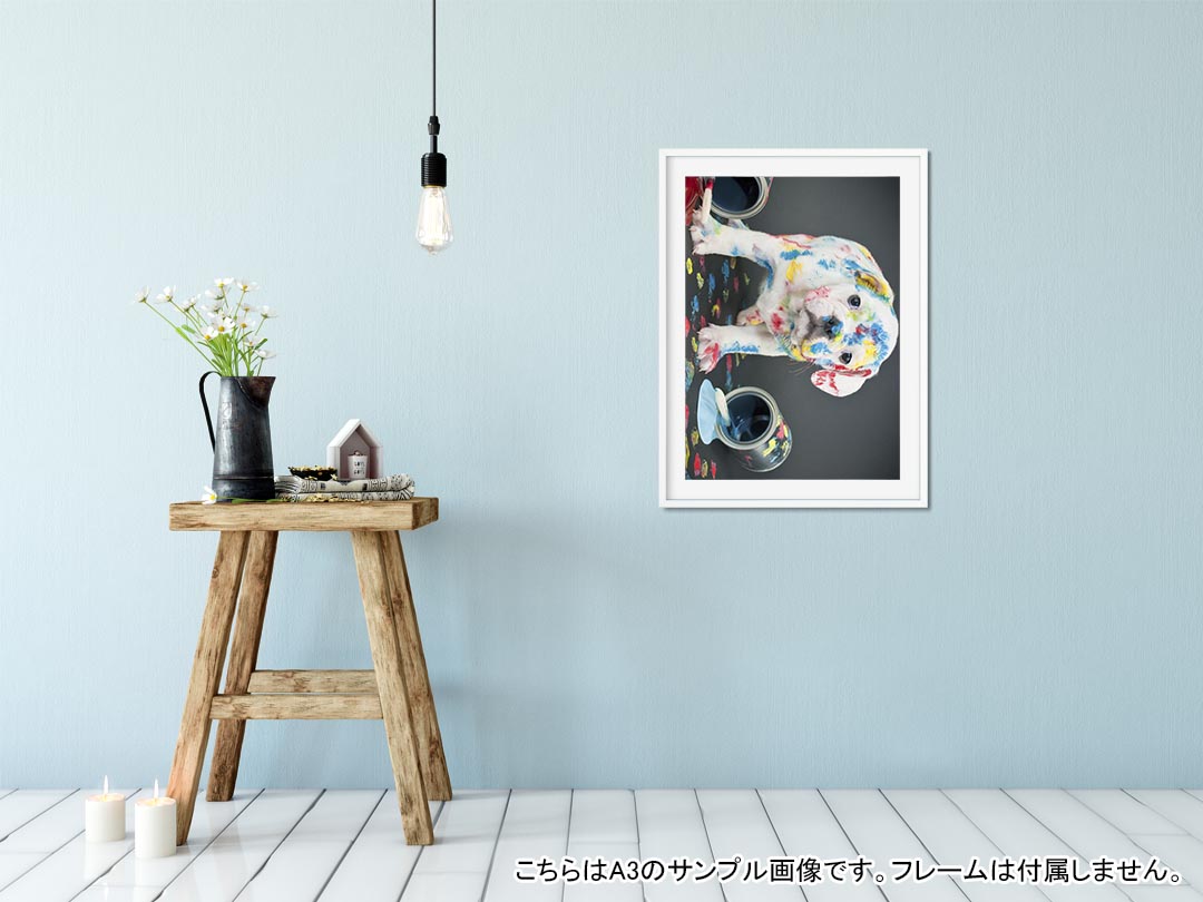 kabeコレのポスター ウォールステッカー シール式ステッカー 飾り 594×841mm A1 写真 フォト 壁 インテリア おしゃれ 剥がせるwall sticker poster 008304 犬　写真　ペンキ　インク　カラフル｜アングル2