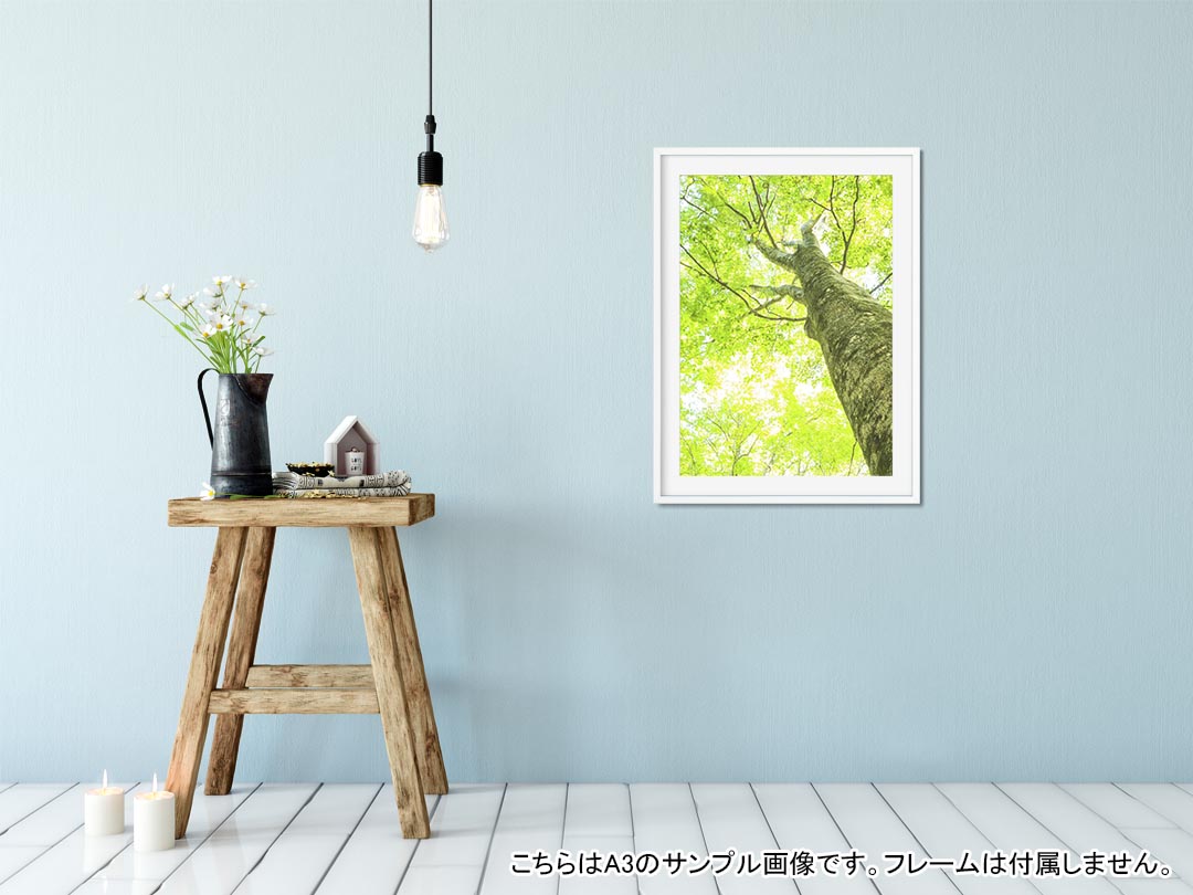 ポスター ウォールステッカー シール式ステッカ...の紹介画像2