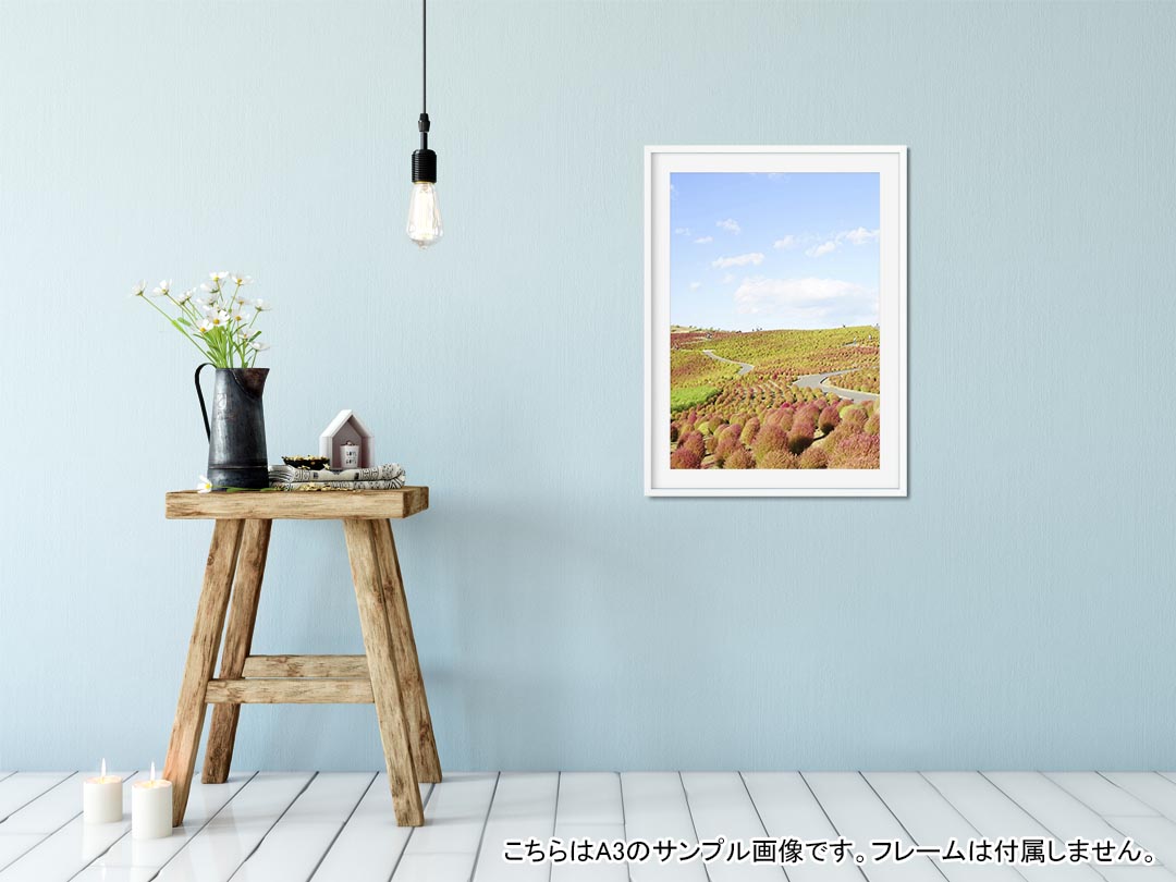 ポスター ウォールステッカー シール式ステッカー 飾り 182×257mm B5 写真 フォト 壁 インテリア おしゃれ 　剥がせる wall sticker poster 009816 風景　景色　写真