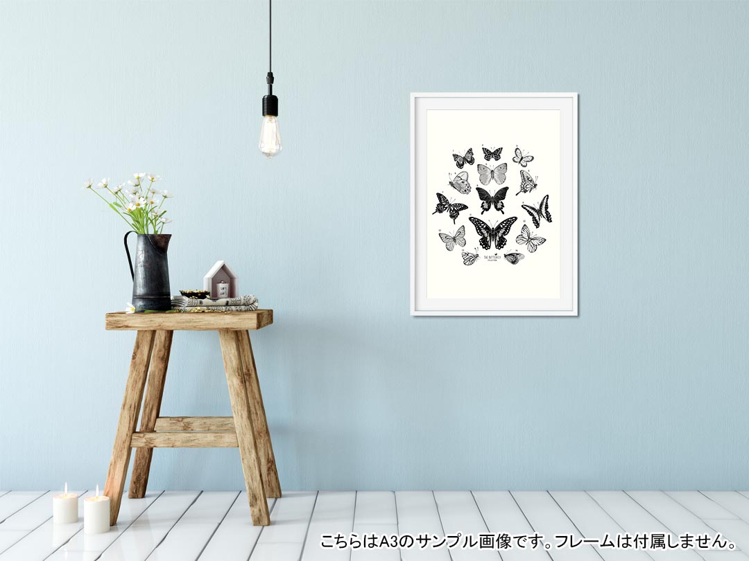 ポスター ウォールステッカー シール式ステッカー 飾り 182×257mm B5 写真 フォト 壁 インテリア おしゃれ 　剥がせる wall sticker poster 012501 蝶　モノトーン　英字 2