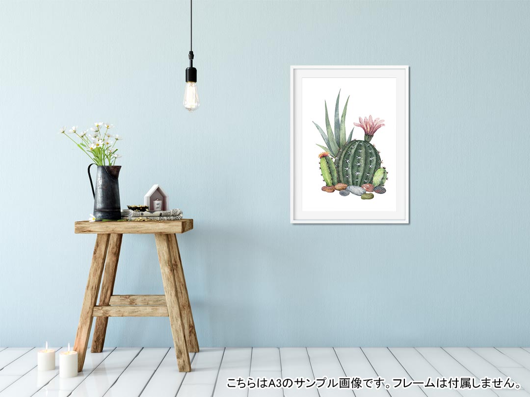 ポスター ウォールステッカー シール式ステッカー 飾り 515×728mm B2 写真 フォト 壁 インテリア おしゃれ 　剥がせる wall sticker poster 015950 サボテン　多肉植物 2