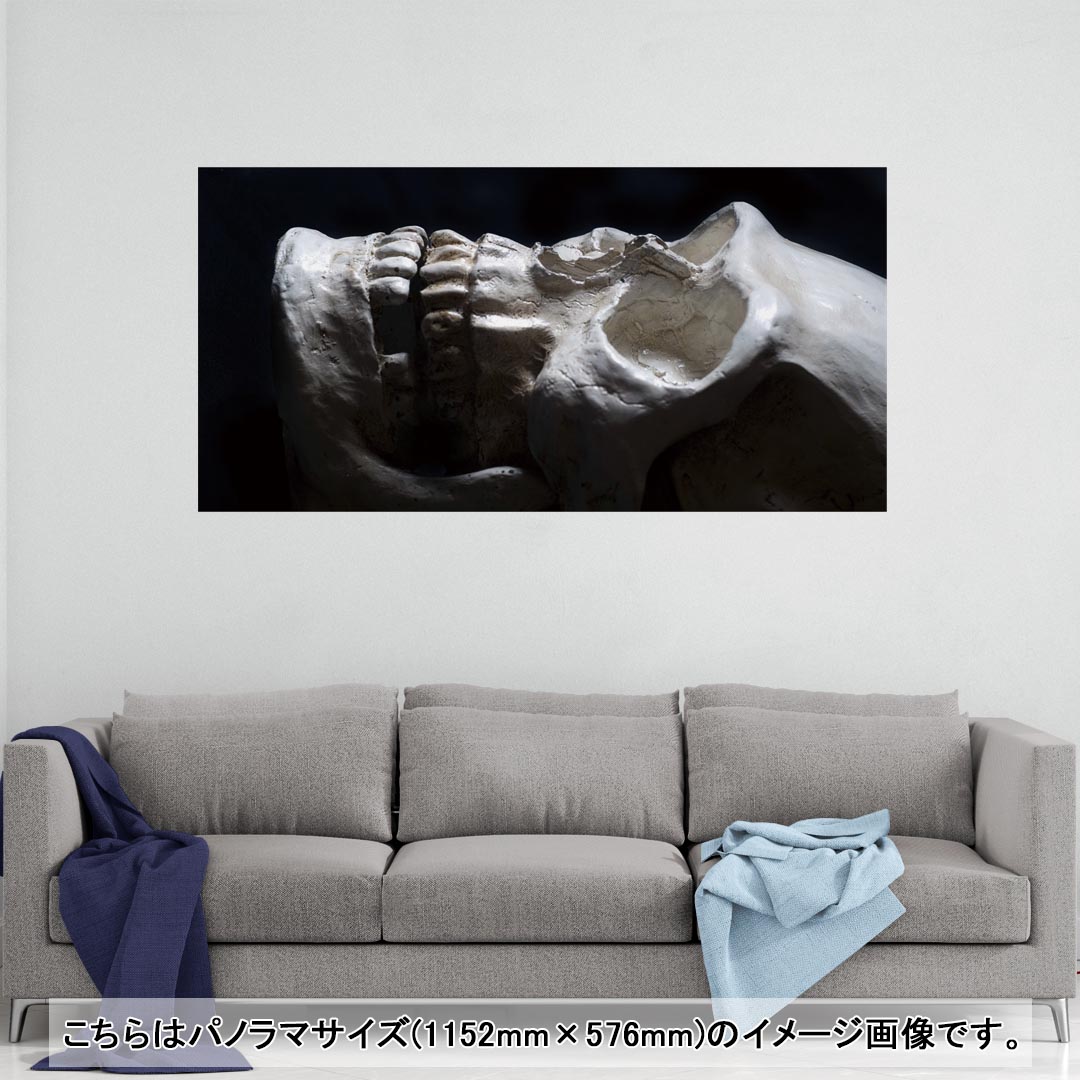 ポスター ウォールステッカー ポステッカー パノラマサイズ ポスターステッカー シール式ステッカー 飾..