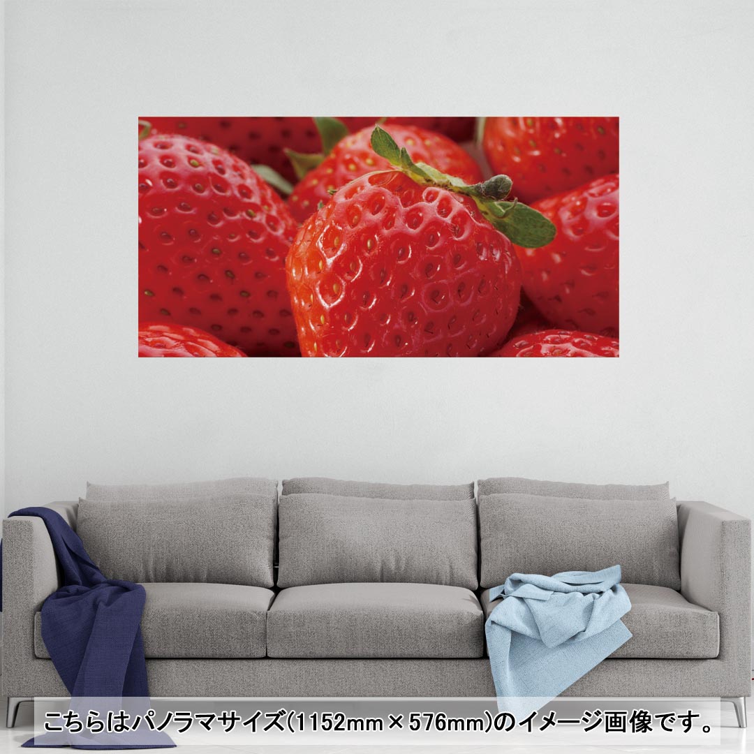 ポスター ウォールステッカー ポステッカー パノラマサイズ ポスターステッカー シール式ステッカー 飾り 1152mm×576mm 写真 フォト 壁 インテリア おしゃれ 剥がせる wall sticker poster 001592 苺 果実