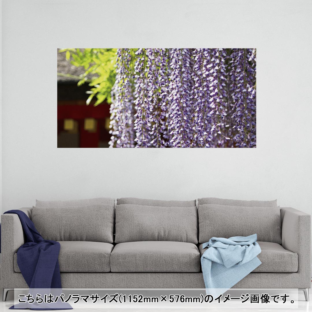 ポスター ウォールステッカー ポステッカー パノラマサイズ ポスターステッカー シール式ステッカー 飾り 1152mm×576mm 写真 フォト 壁 インテリア おしゃれ 剥がせる wall sticker poster 003257 クール 花　写真　景色　風景