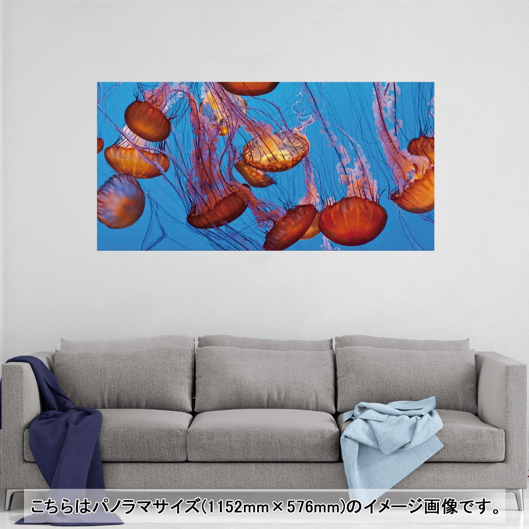 ポスター ウォールステッカー シール式ステッカー 飾り 1030×1456mm B0 写真 フォト 壁 インテリア おしゃれ 　剥がせる wall sticker poster売れ筋のデザインはこちら▼　▼　▼　▼　▼同じデザインの各サイズ...