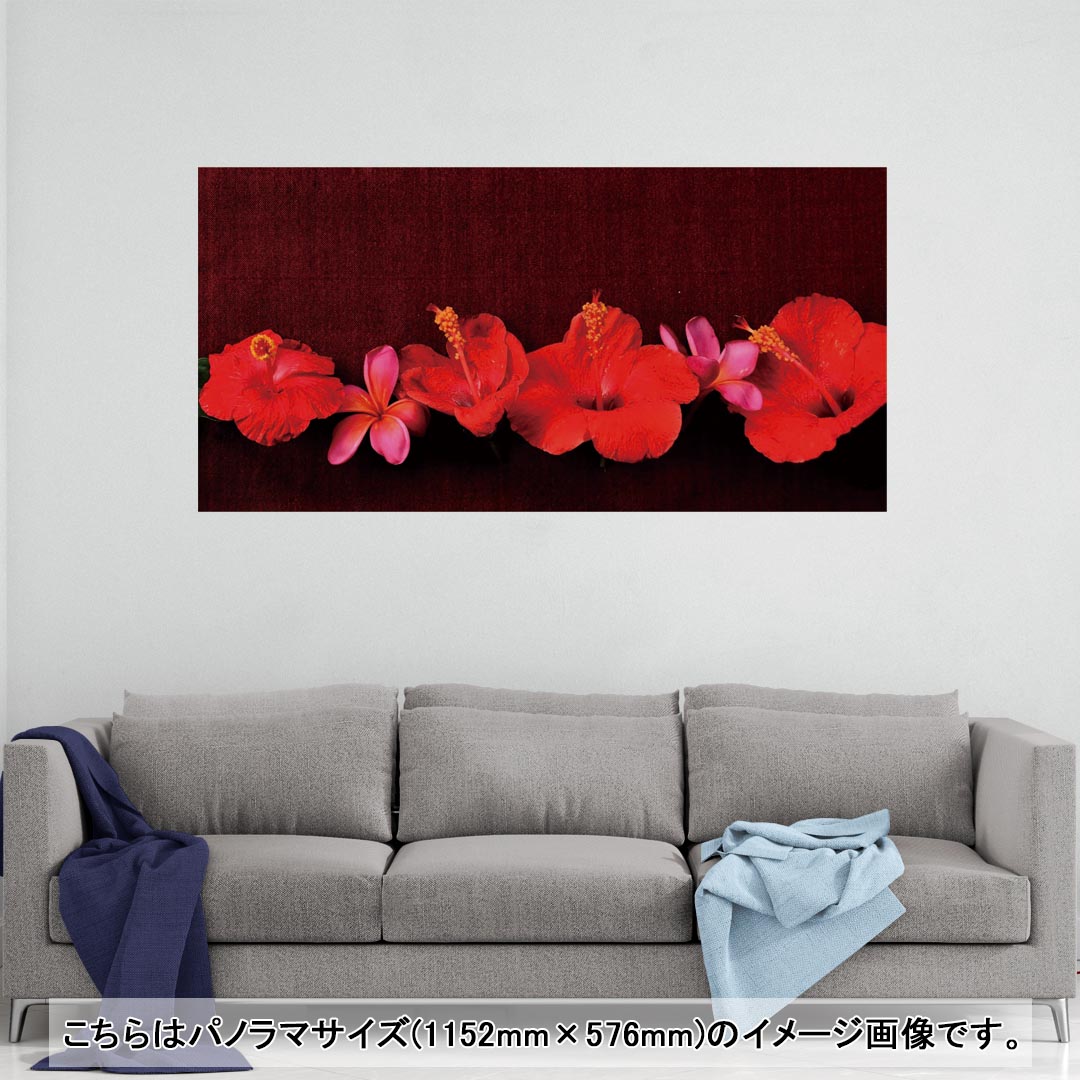 ポスター ウォールステッカー ポステッカー パノラマサイズ ポスターステッカー シール式ステッカー 飾り 1152mm×576mm 写真 フォト 壁 インテリア おしゃれ 剥がせる wall sticker poster 005325 花　ハイビスカス　赤