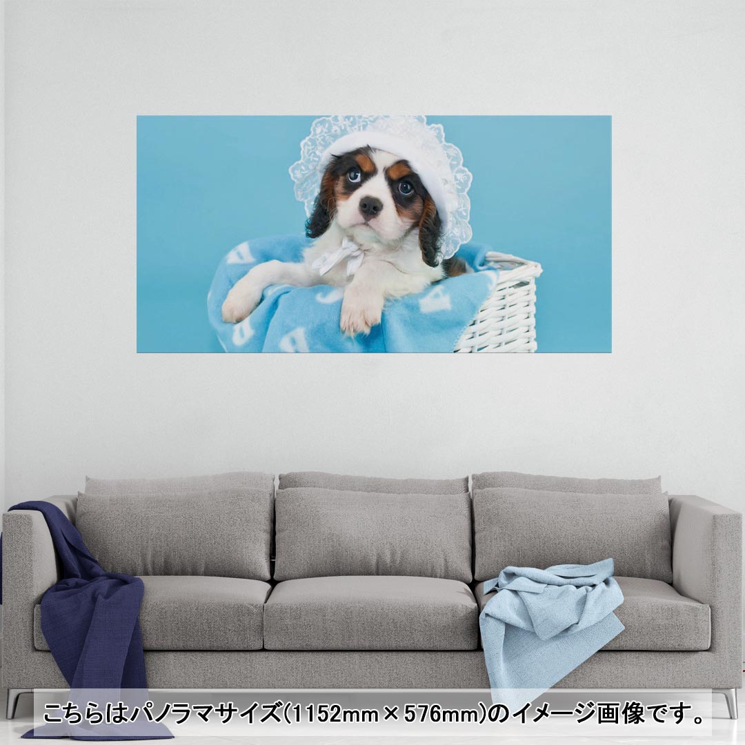 ポスター ウォールステッカー ポステッカー パノラマサイズ ポスターステッカー シール式ステッカー 飾..