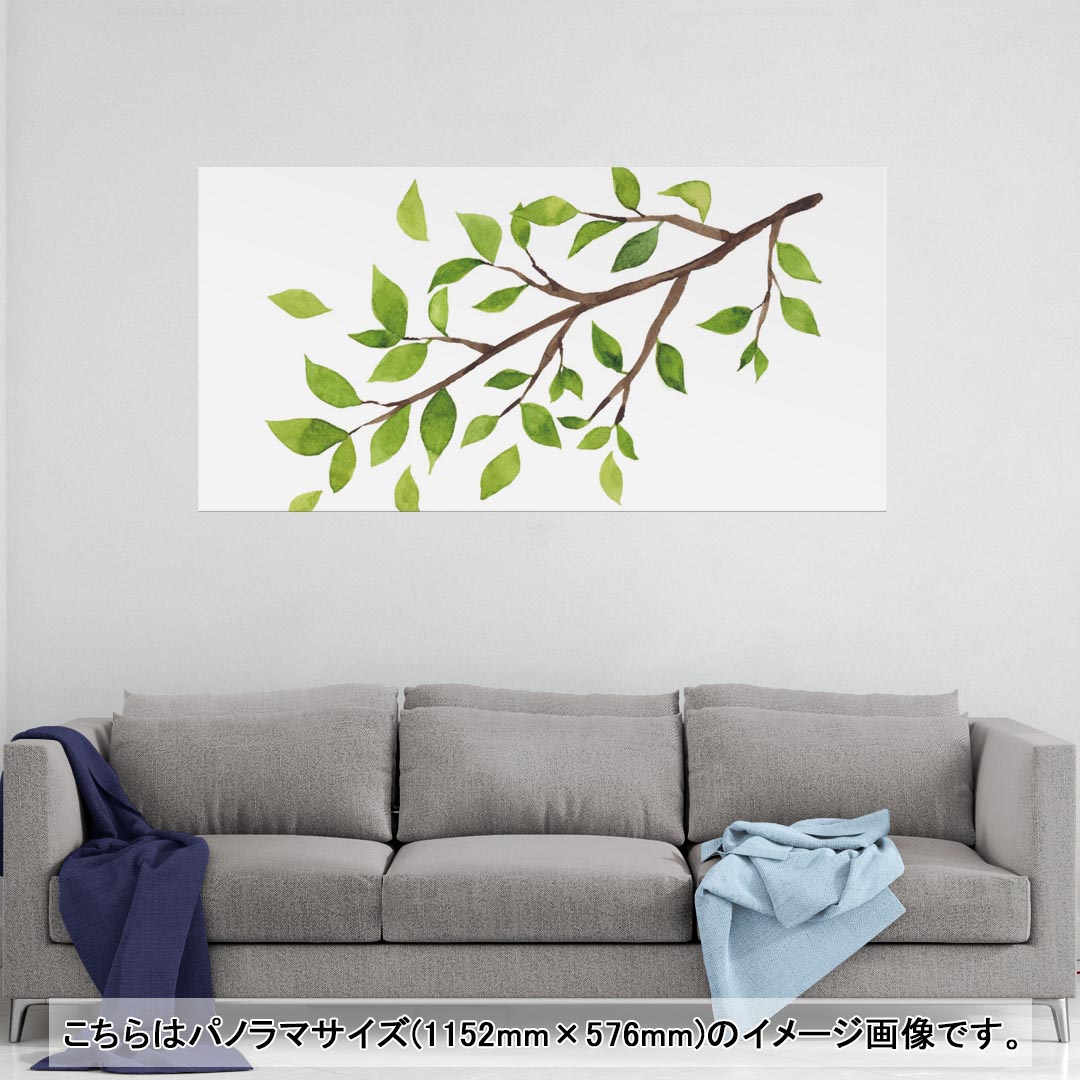 ポスター ウォールステッカー ポステッカー パノラマサイズ ポスターステッカー シール式ステッカー 飾り 1152mm×576mm 写真 フォト 壁 インテリア おしゃれ 剥がせる wall sticker poster 009458 植物　シンプル　緑