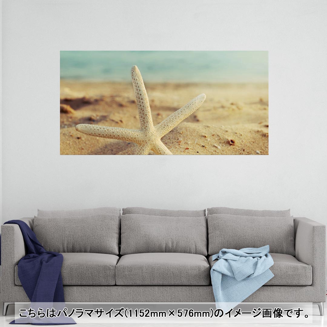 Rakuten - ポスター ウォールステッカー ポステッカー パノラマサイズ ポスターステッカー シール式ステッカー 飾り 1152mm×576mm 写真 フォト 壁 インテリア おしゃれ 剥がせる wall sticker poster 011095 海　ビーチ　ヒトデ